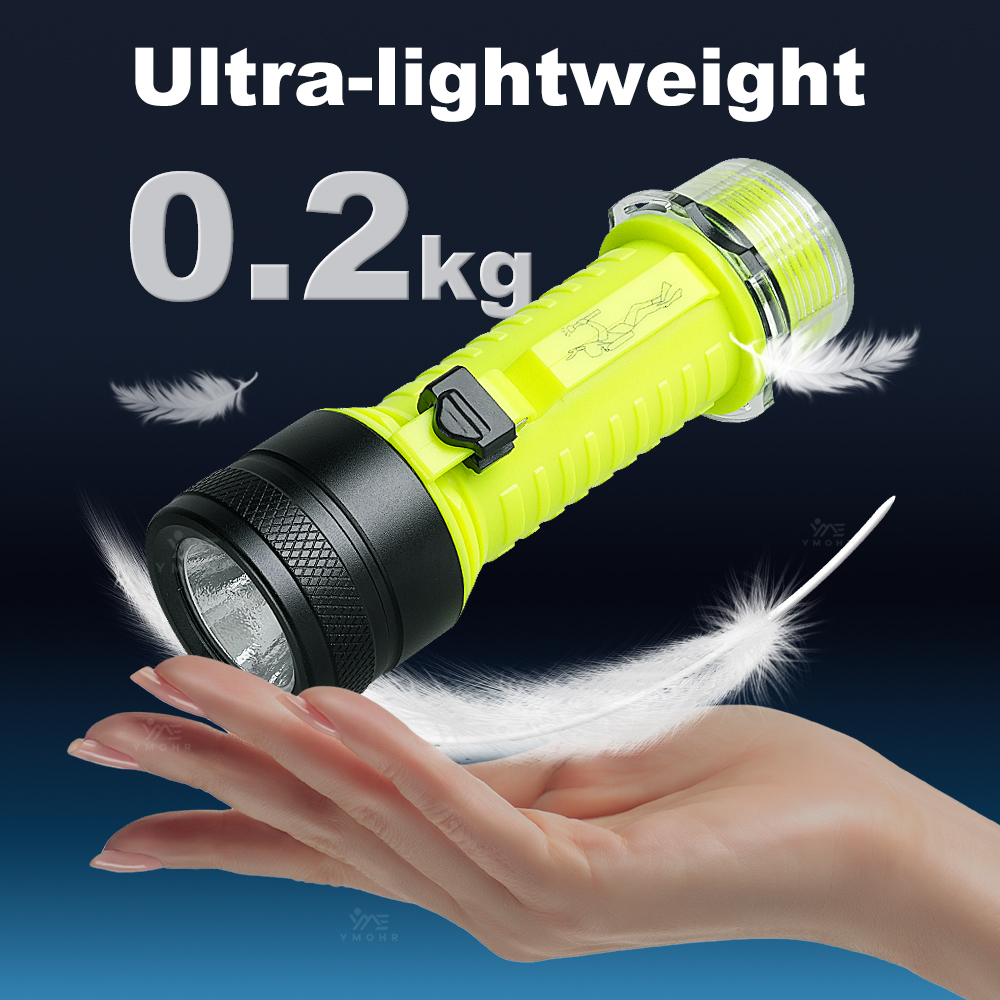 New Portable Professional LED  - Fishing Light review and price