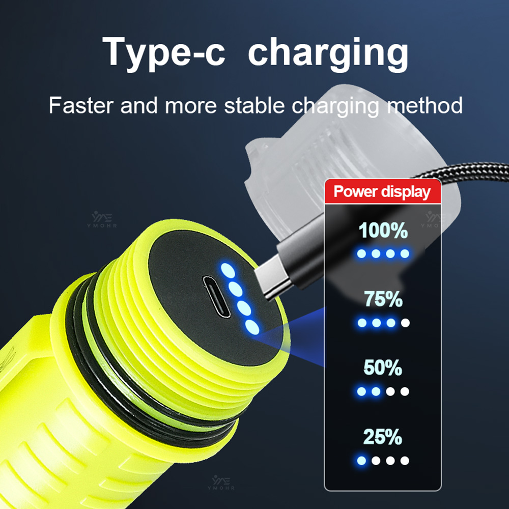 New Portable Professional LED  - Fishing Light review and price